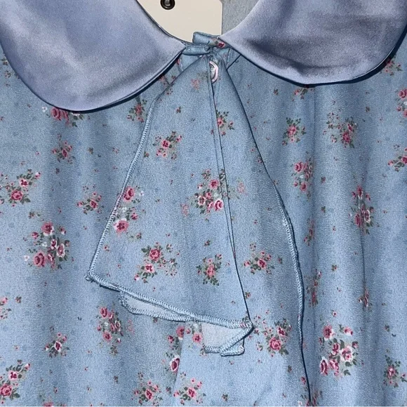 Simple Retro Blue Pink Romantic Bohemian Peter Pan Collar Button Down Top NWT L - Picture 9 of 10